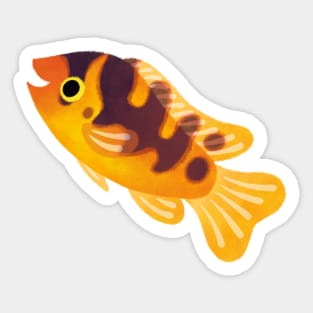 Bumblebee cichlid Sticker